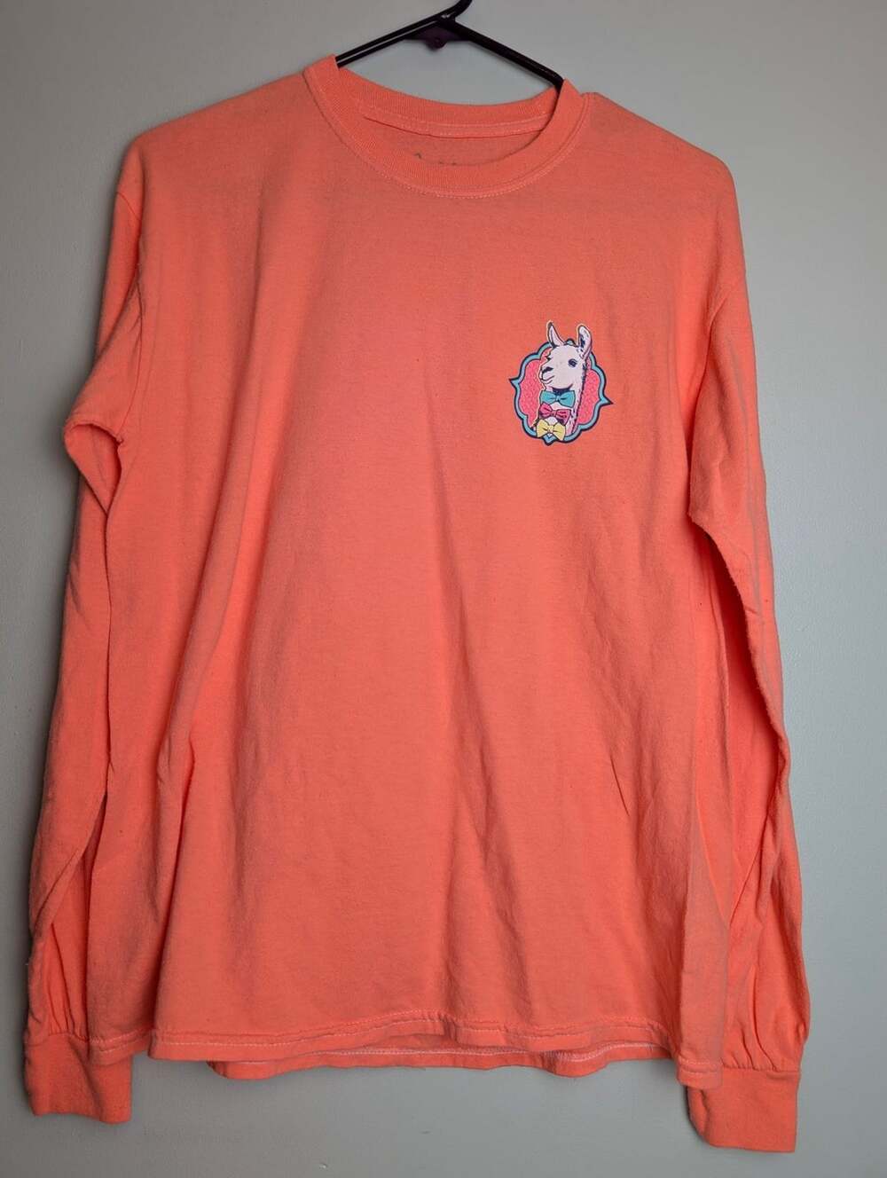​Cute Casualstyle Benny & Belle Southern Charmer Llama Long Sleeve